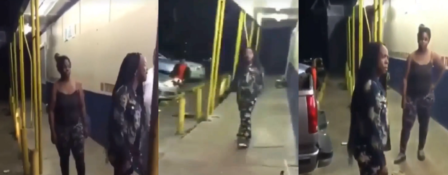 Black Woman Argues With Her Girlfriend, Gets Jumped By Another Black Chick Then Shoots Randomly While Kids Are Around! (Video)