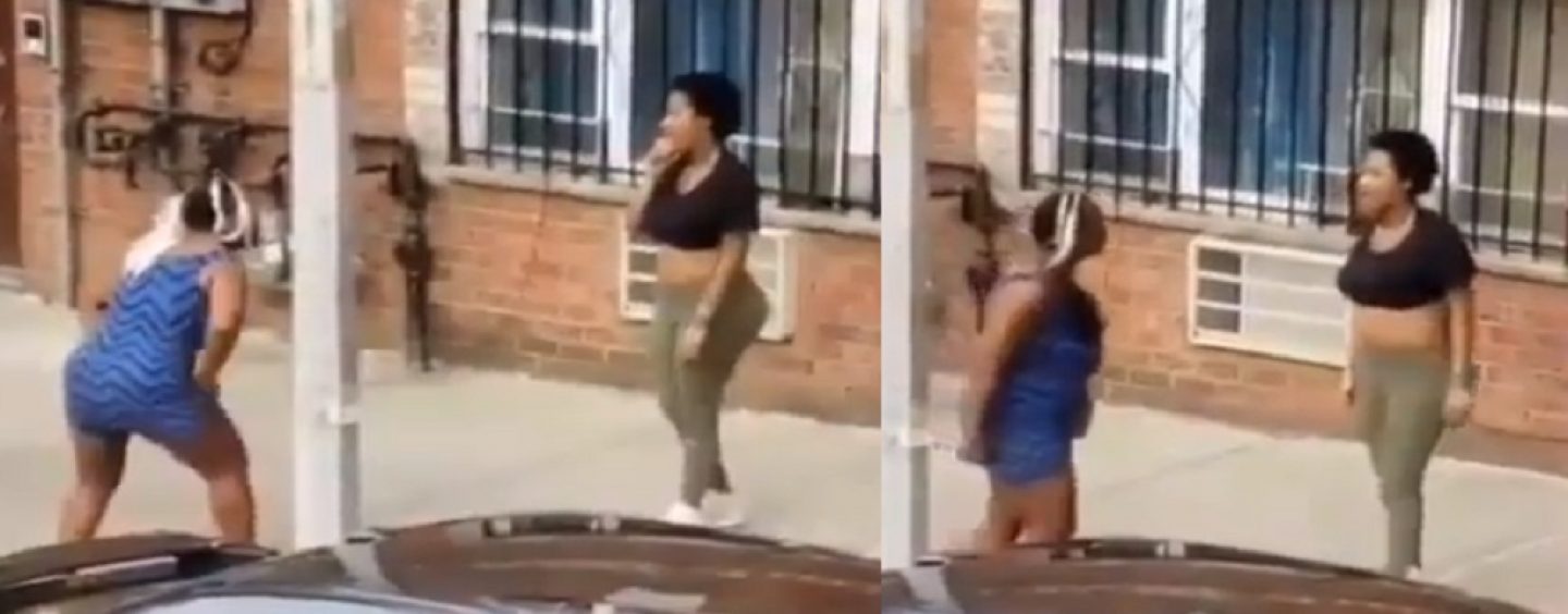 #ATW BT-1000 DSE (Dark Skinned Edition) Takes Off All Of Her Clothes While Trying To Fight Light Skinned Chick! (Video)