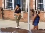 #ATW BT-1000 DSE (Dark Skinned Edition) Takes Off All Of Her Clothes While Trying To Fight Light Skinned Chick! (Video)