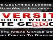 8/31/18 – Do White Countries Suffer Adversely When Allowing Blacks & Non White Immigrants In? (Live Broadcast)
