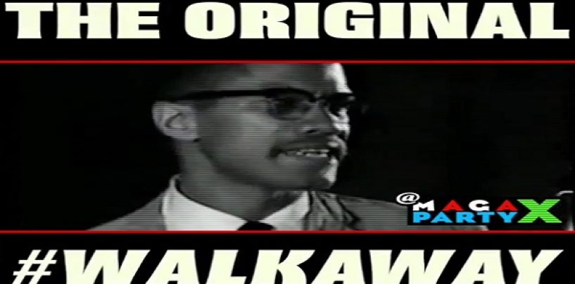 Malcolm X Says Take Your D And Go Home! How The Democrats Have #Brainwashed The American Kneegrow! (Video)
