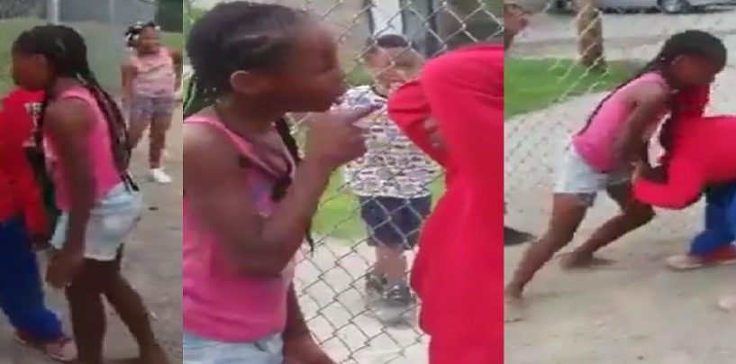 ATW Frosted Chocolate Mini-Beast Terrorizes Boy While Others Encourage The Behavior! What R Your Thoughts? (Live Broadcast)