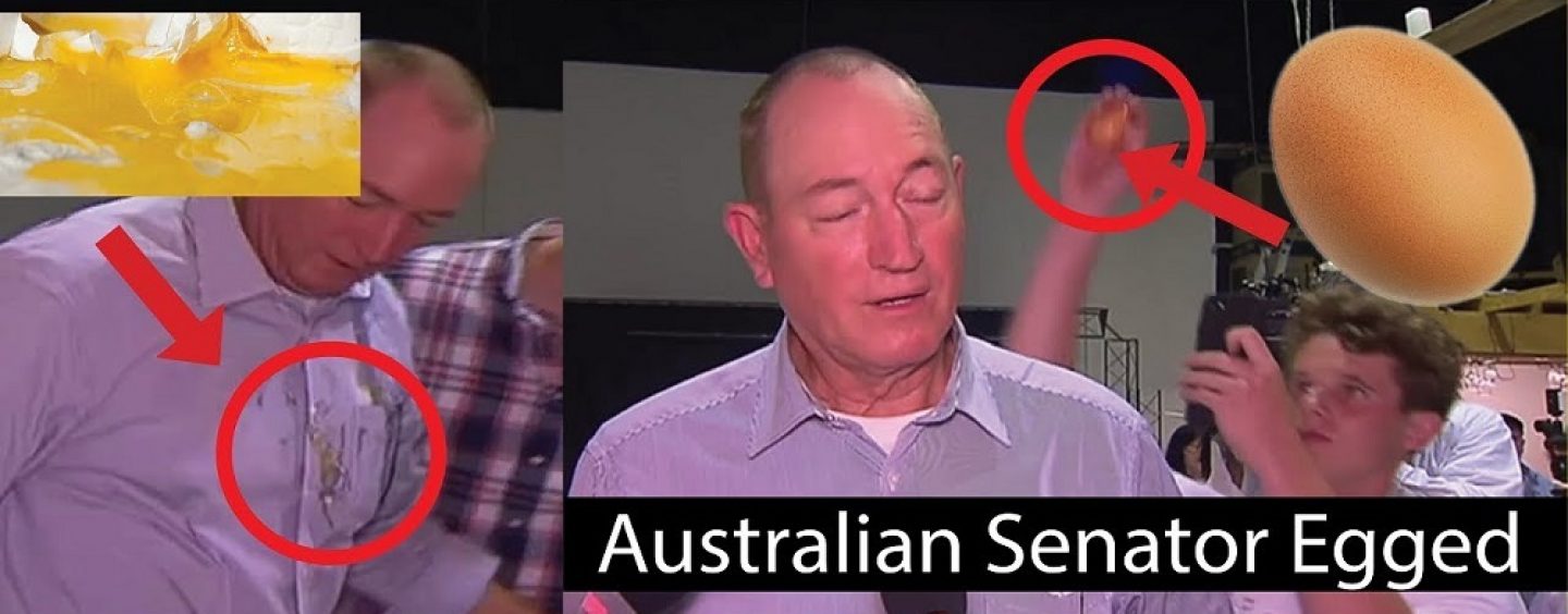 Aussie Senator Egged By EggBoy AKA Will Connelly As He Blamed Mosque Shootings On Muslim Immigration! (Live Broadcast)