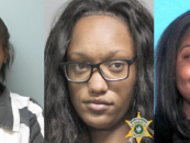 Months Before She Was Arrested For Attempted Murder, She Was Being Arrested For String Of Thefts With 2 Other HoodHoes! (Video)