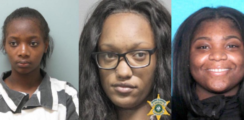Months Before She Was Arrested For Attempted Murder, She Was Being Arrested For String Of Thefts With 2 Other HoodHoes! (Video)