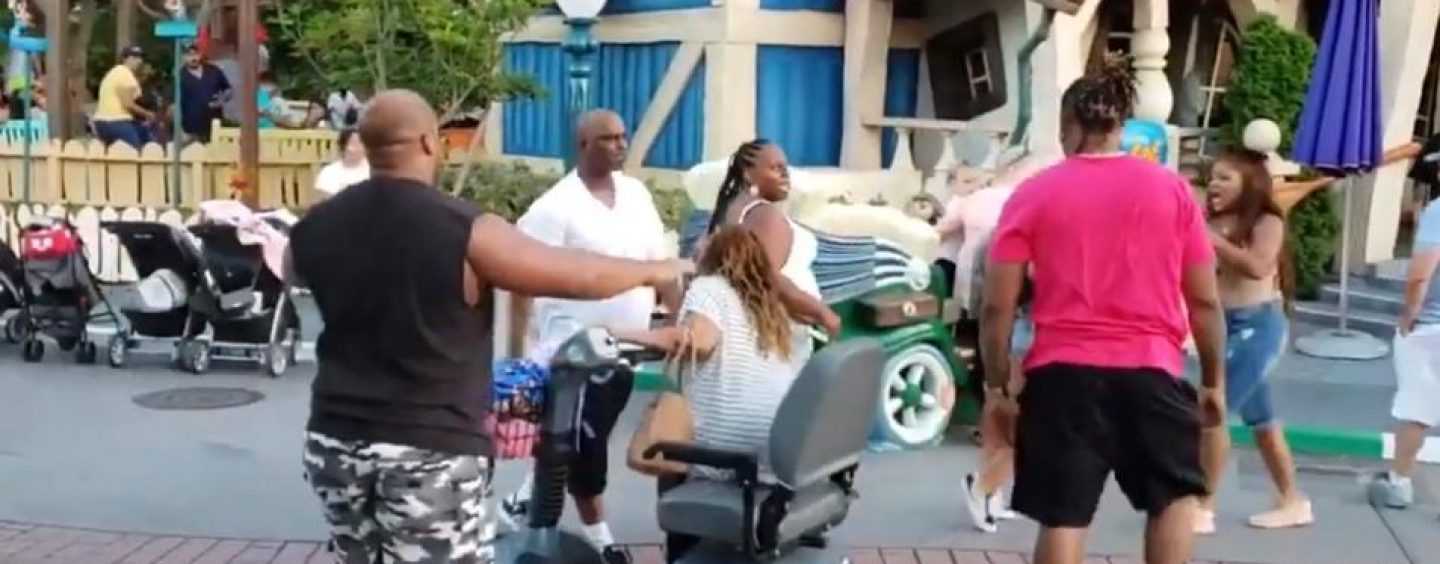 Disney Land! The Happiest Place On Earth… Until U Let BLACKS In Of Course! Lets Break Some News! (Live Broadcast)