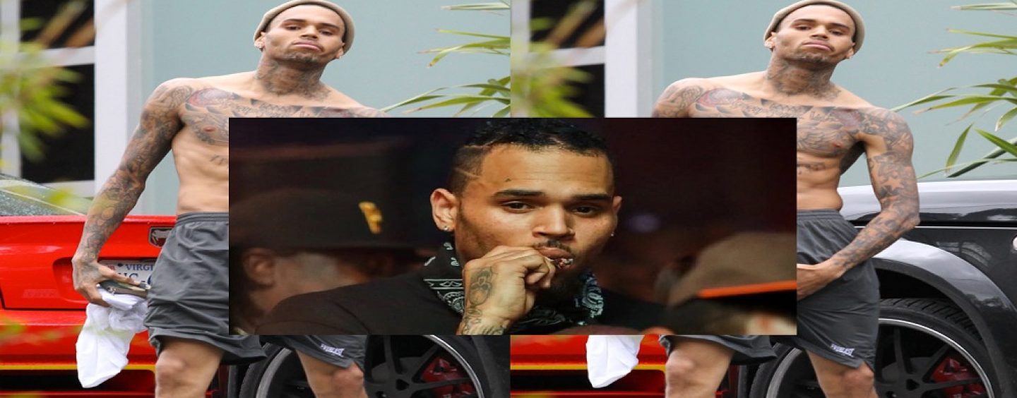 Chris Brown Responds To Claims Of Colorism In His Lyrics With A Big Fat F*ck You! (Video)