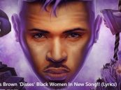 Chris Brown Causes A Sir With His Lyrics That Black Women Are Saying Is Aimed At Dissing Their Hair For Mixed Hair! (Video)