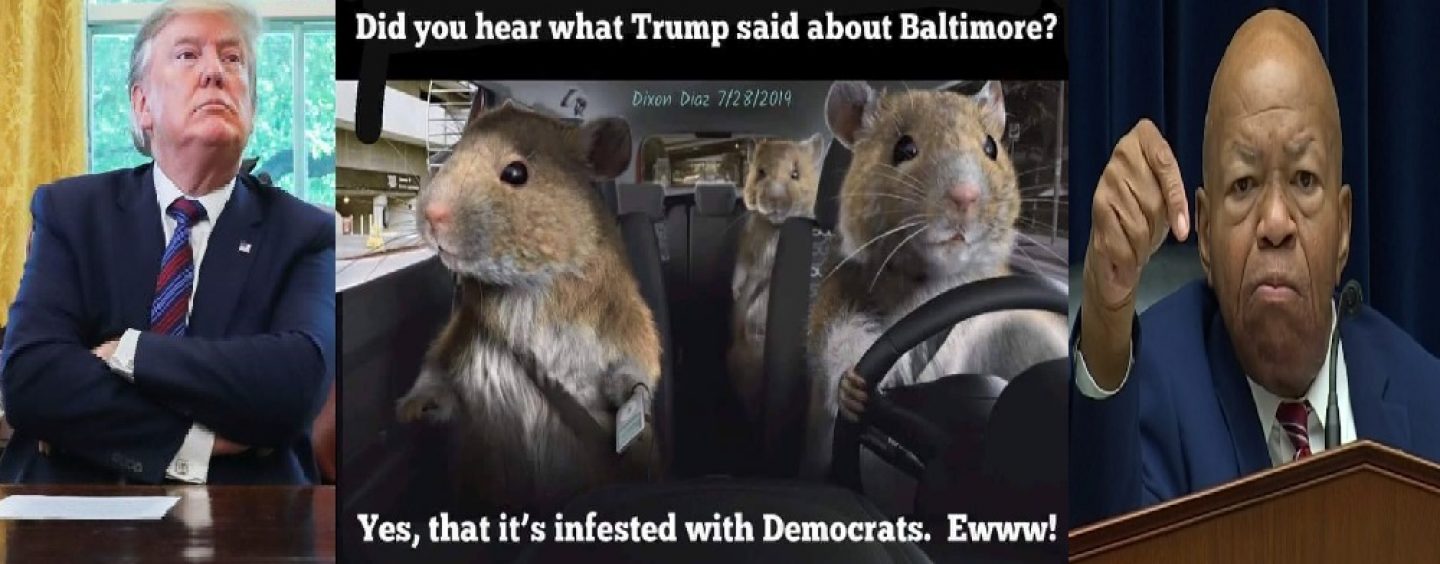 During Interview Where People Try To Downplay Presidents Baltimore Comments A Huge Rat Appears! LOL (Video)