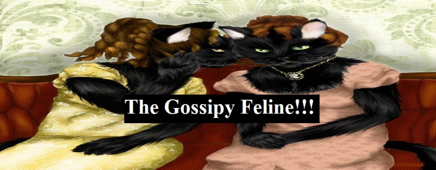 5/26/20 – 3RD Shift Show! Lebrandon Owens Is: The Gossipy Feline!!! (Live Broadcast)