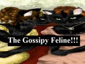 5/26/20 – 3RD Shift Show! Lebrandon Owens Is: The Gossipy Feline!!! (Live Broadcast)