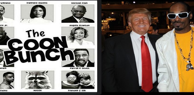 Lame Snoop Dog Who Used To Be A Fan Of Donald Trump Is Now Calling Any Black Republican A Coon! (Video)
