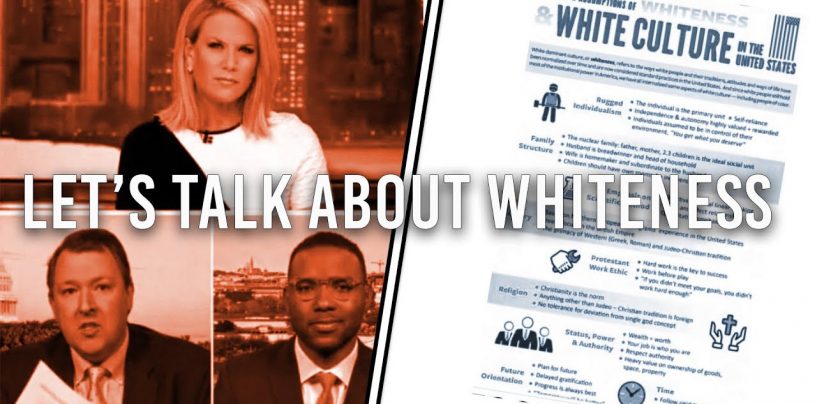 The Whiteness Papers! How The African American Museum Ended Up Proving Whites Are Superior To Blacks! (Video)