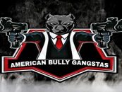 How Do You Bully & Gangsta?  Well Lets Find Out LIVE As The RoachQueen Explains! Call in! (Live Broadcast)