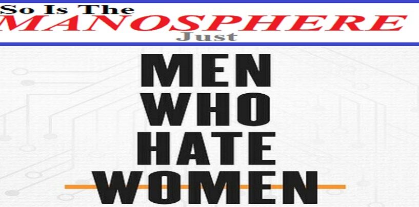Is The Manosphere Just A Bunch Of Woman Hating Lames Or Is There Something To It? (Video)