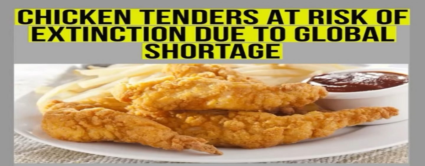 Chicken Tender Crisis!  Global Shortage Could Cause Chicken Tenders To Become Extinct! (Video)