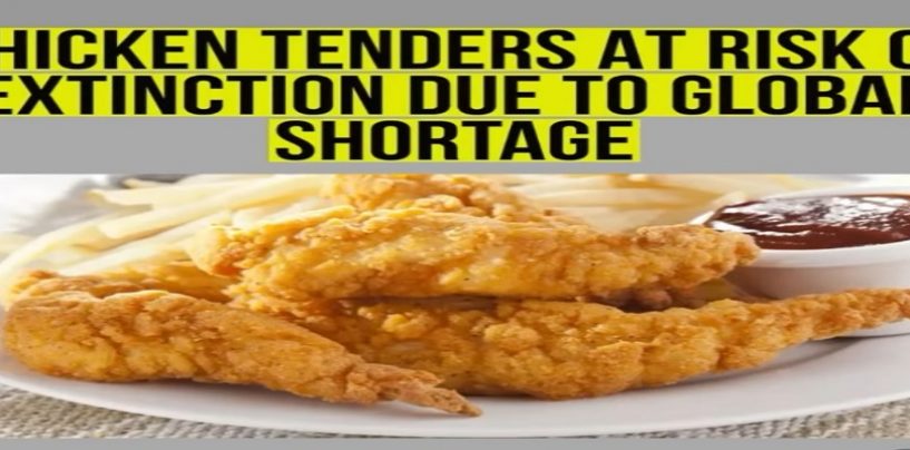 Chicken Tender Crisis!  Global Shortage Could Cause Chicken Tenders To Become Extinct! (Video)