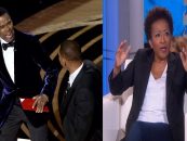 Comedian Wanda Sykes Says Chris Rock Apologized To Her After Being Slapped By Will Smith! (Video)
