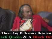 Black Councilwoman Lisa Lucas-Burke Doubles Down On Cussing Out Council Members! Have Black Women Gotten OUT OF CONTROL? (Live Broadcast)