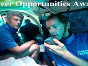 OceanGate Listed Job Opening For Pilot As Search For Missing Submersible Was Underway! (Video)