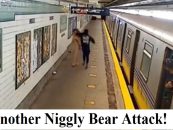 White Woman, Hannah McAllister, Sucker-Punched By Black Male At Brooklyn Subway Station! (Video)