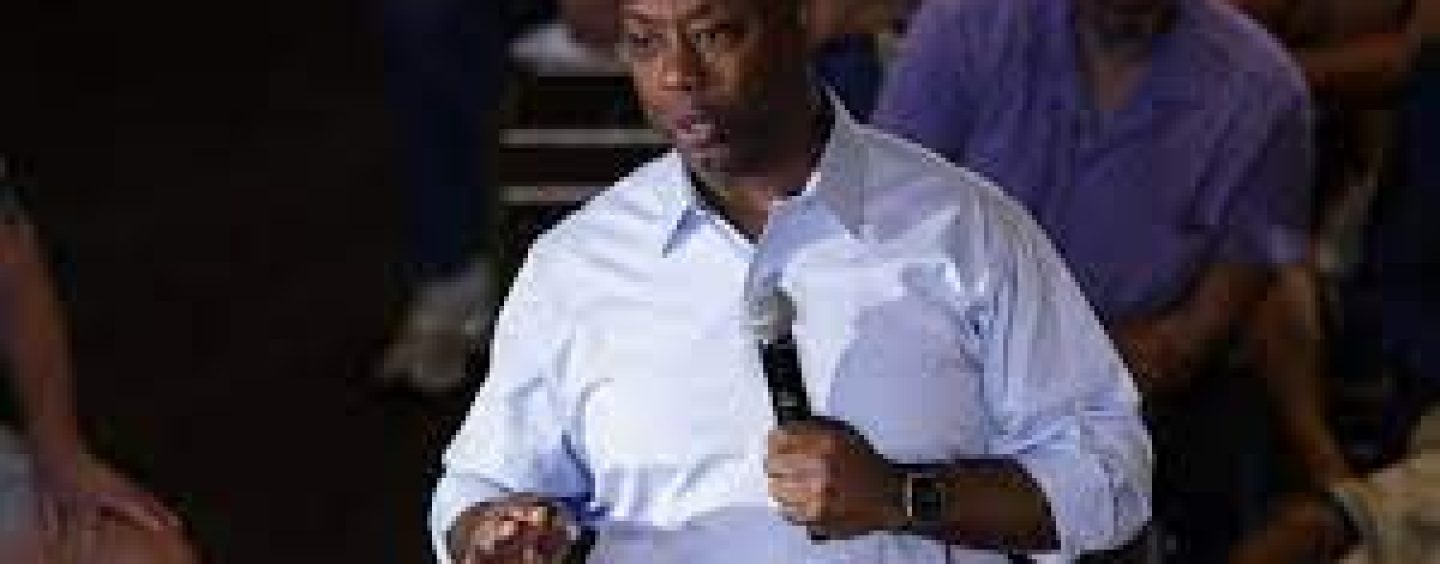 Tim Scott Questions Constitutionality Of 2024 Opponents’ Promises To End Birthright Citizenship