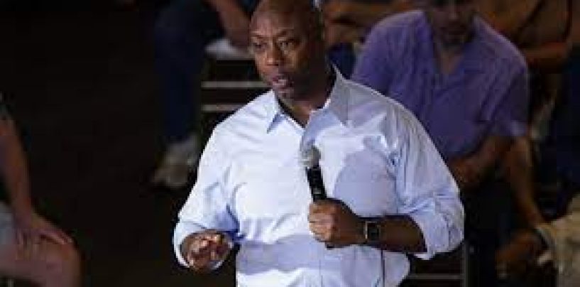 Tim Scott Questions Constitutionality Of 2024 Opponents’ Promises To End Birthright Citizenship