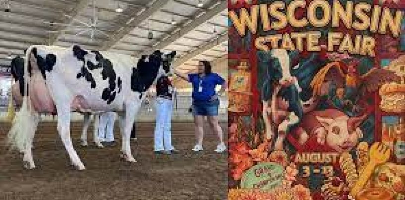 What does ‘Jigaboo’ Mean? Wisconsin State Fair Racial Slur Cow Controversy Explained