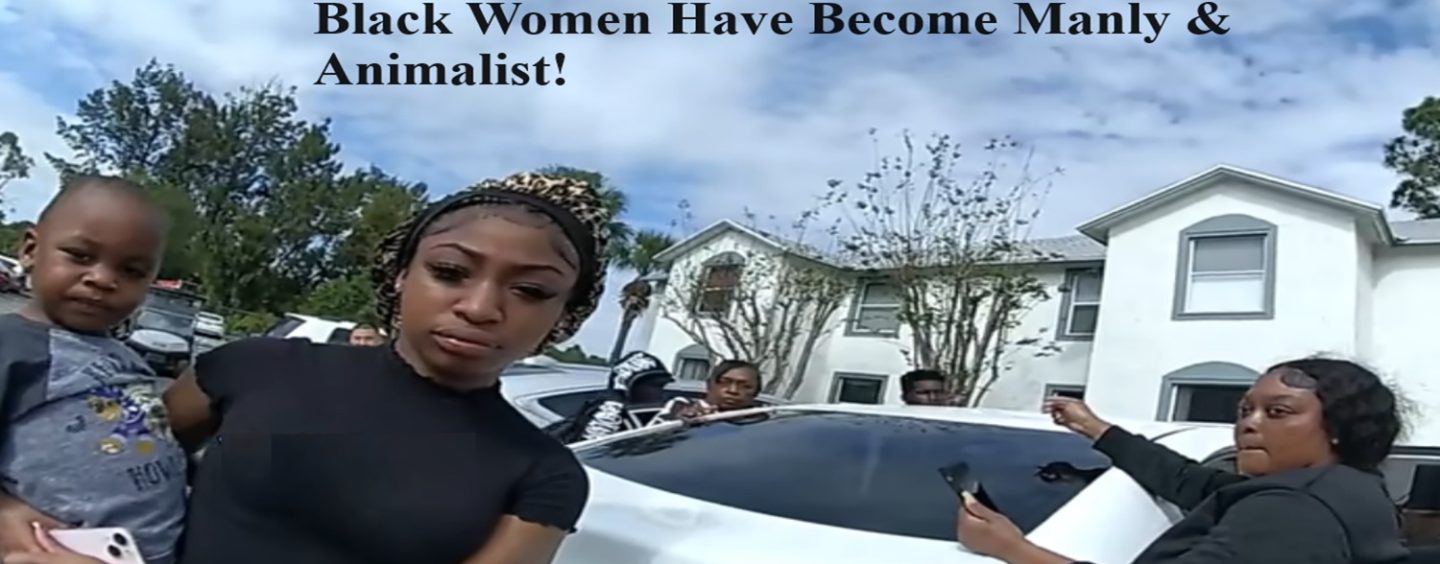 Hoodrat Black Hoes Fight In Front Of Their Mothers, Kids & The Police Then Get Sprayed & Tased! (Live Broadcast)