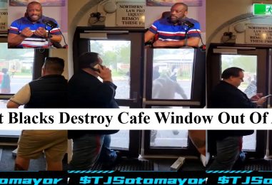 What Made These Blacks Destroy A Cafe Window & Still Expect To Not Be Called Violent? (Video)