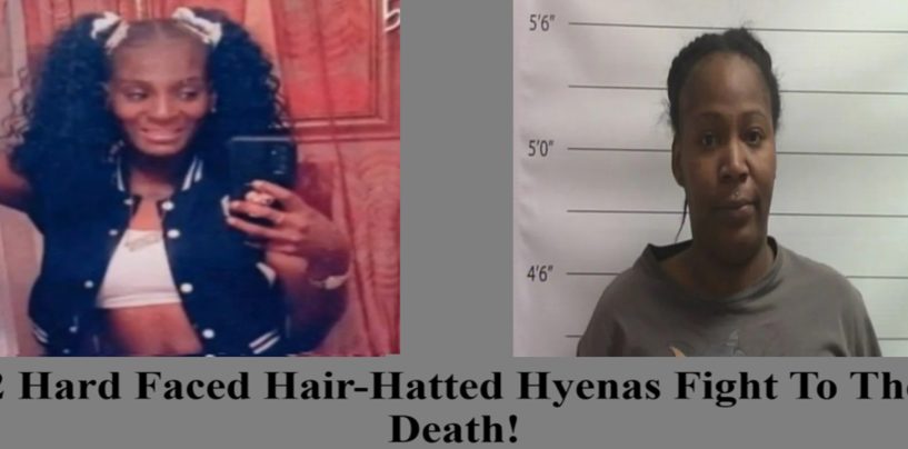 Black Mother Of 6 Killed By 32 Year Old Mother Of 9 In Fight Over Social Media Beef! (Video)