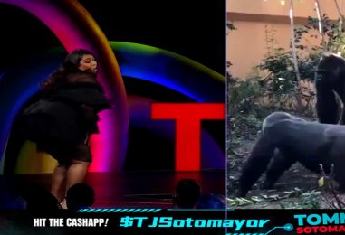Video Of Lizzo Proves That Saying Lizzo And Monkey In The Same Sentence Isn’t Racist, Its Accurate! (Video)