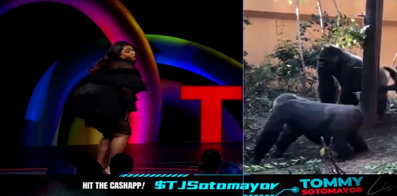 Video Of Lizzo Proves That Saying Lizzo And Monkey In The Same Sentence Isn’t Racist, Its Accurate! (Video)