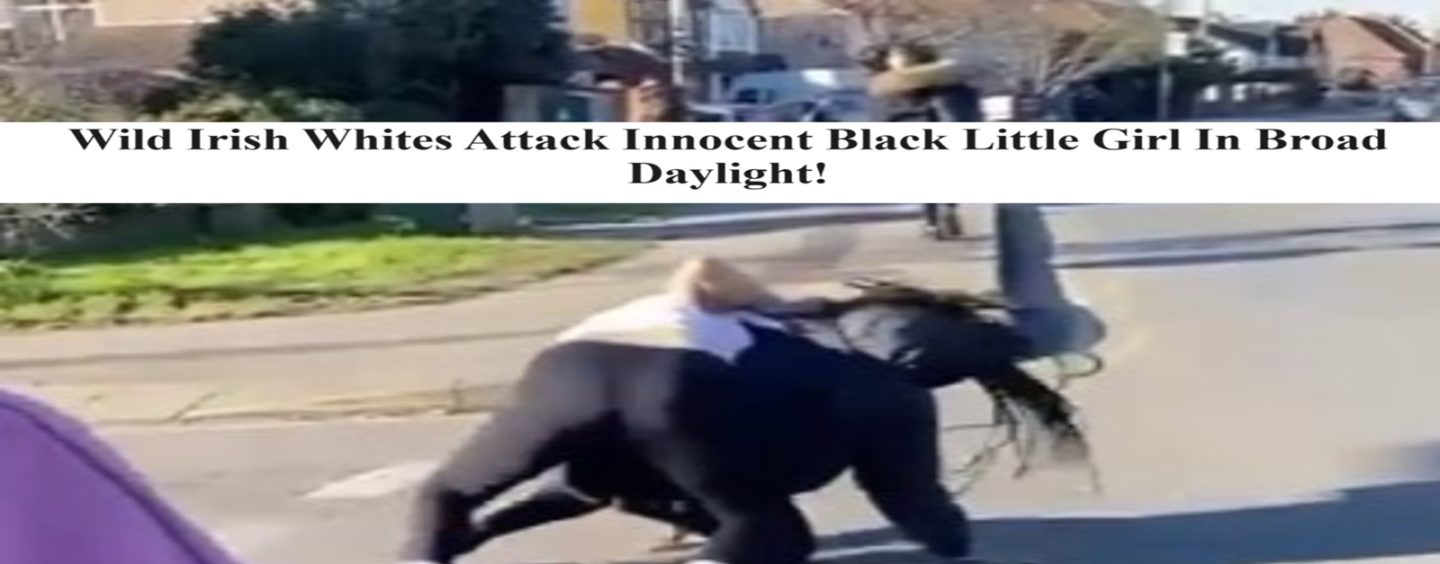 Family Of Wild Irish Racist Beat Young Black Girl Gang Style! What Lead To This? (Video)