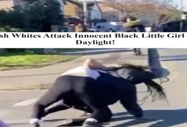 Family Of Wild Irish Racist Beat Young Black Girl Gang Style! What Lead To This? (Video)