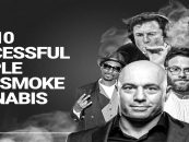 Fresh & Fit Along With Others Say “You Can Not Be A Weed Smoker & Be Successful! (Live Broadcast)