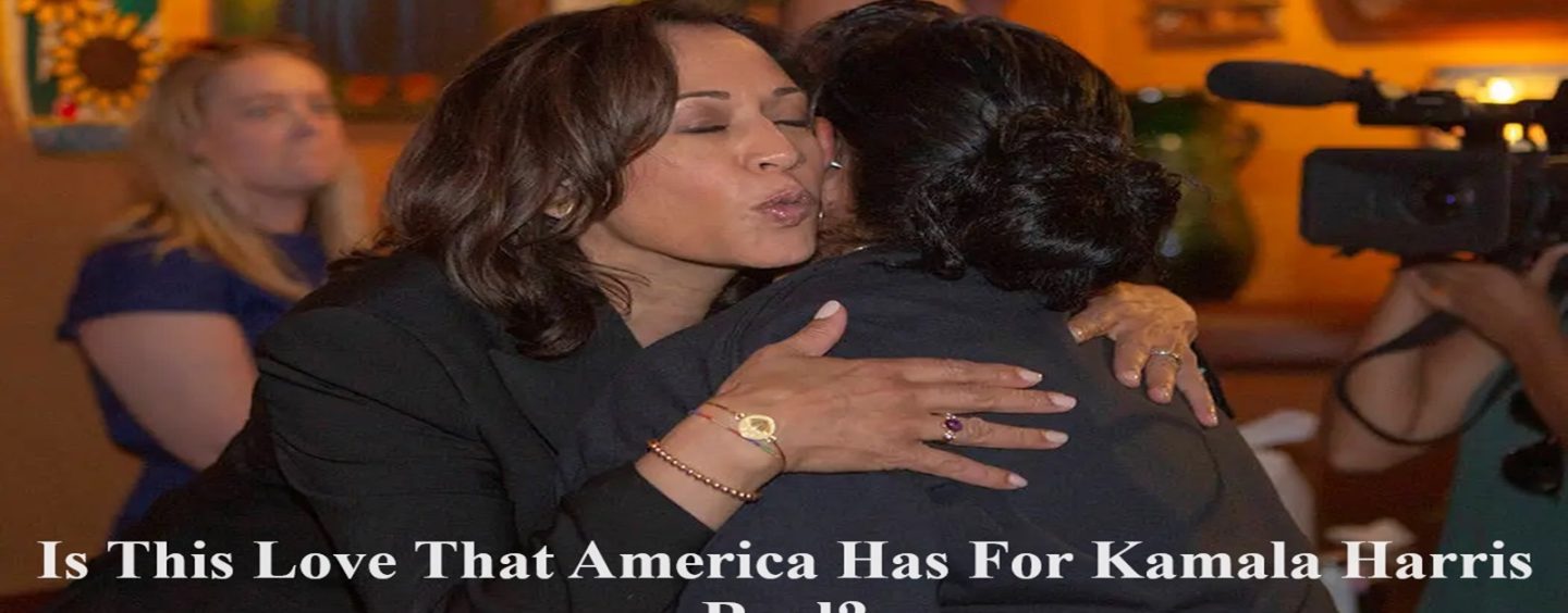 Is The Love America Has For Kamala Harris Real Or Is It A Media Driven Fantasy? (Twitter Show)