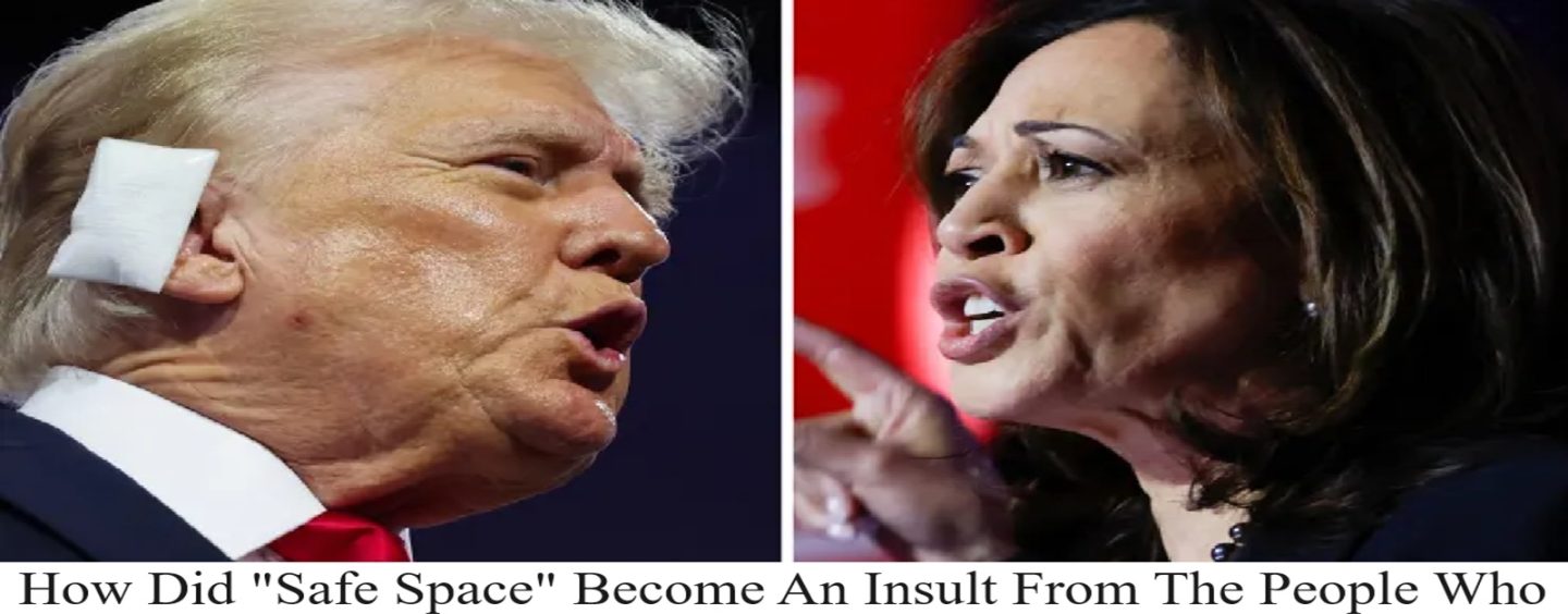 Kamala Harris Taunts Donald Trump Over FOX Debate Offer Saying “He Needs A Safe-Space”!