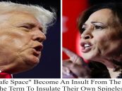 Kamala Harris Taunts Donald Trump Over FOX Debate Offer Saying “He Needs A Safe-Space”!