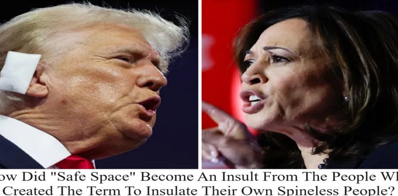 Kamala Harris Taunts Donald Trump Over FOX Debate Offer Saying “He Needs A Safe-Space”!