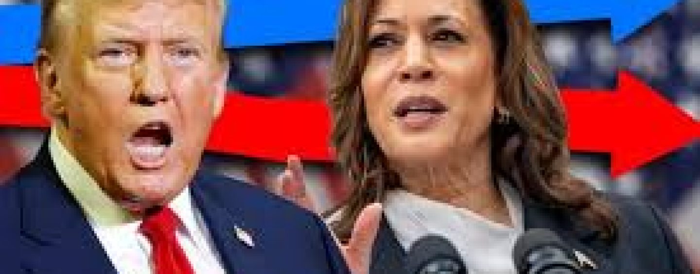 Can Kamala Harris Beat Donald Trump? Latest Poll Updates