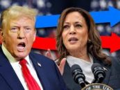 Can Kamala Harris Beat Donald Trump? Latest Poll Updates