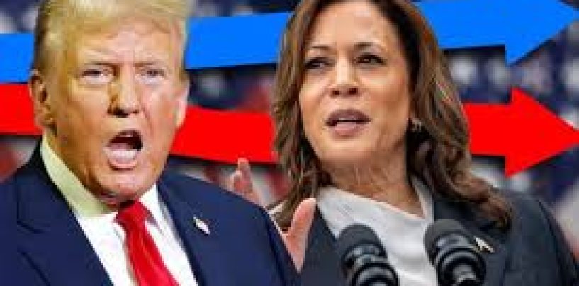 Can Kamala Harris Beat Donald Trump? Latest Poll Updates