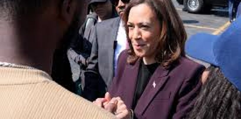 Republican Group Cites Notorious Dred Scott Ruling As Reason Kamala Harris Can’t Be President