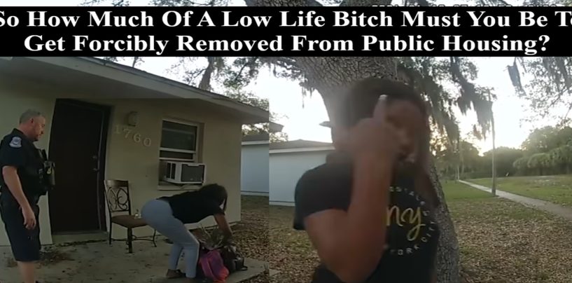 Black Woman Acts So Crazy That She Ends Up Getting Kicked Out Of Public Housing Over Chasing Dick! (Live Broadcast)