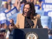 Polling Expert Who Has Correctly Called US Elections For 40 Years Says Kamala Harris Will Win In November