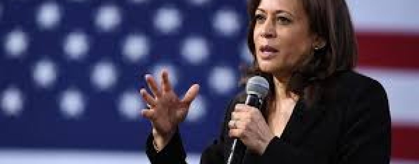 What Is Unrealized Capital Gains Tax? Unpacking Kamala Harris-Backed Proposal On Ultra-Wealthy