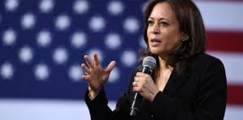 What Is Unrealized Capital Gains Tax? Unpacking Kamala Harris-Backed Proposal On Ultra-Wealthy