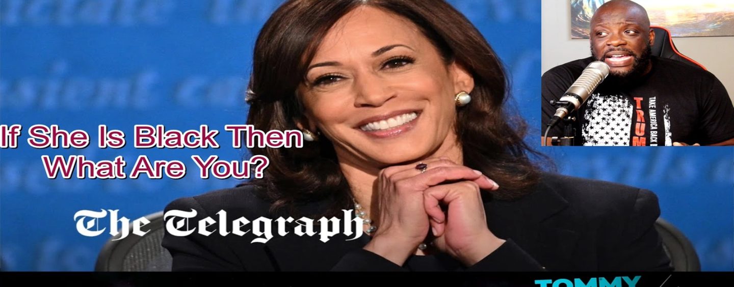 Kamala Harris Is Black Then What Are You? (Video)