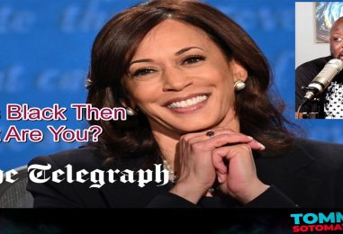 Kamala Harris Is Black Then What Are You? (Video)